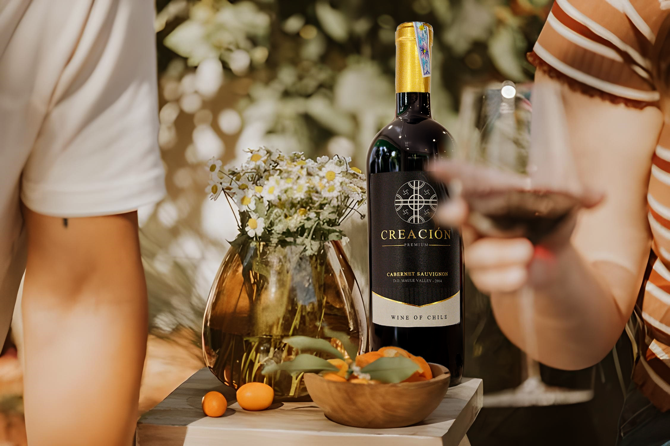vang-do-chile-cabernet-sauvignon